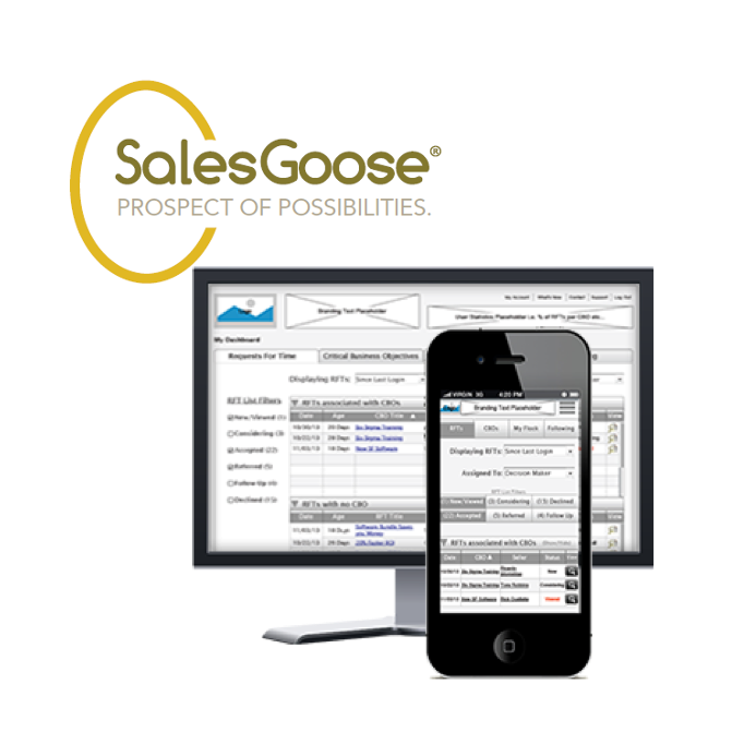 B2B Responsive Web – SalesGoose