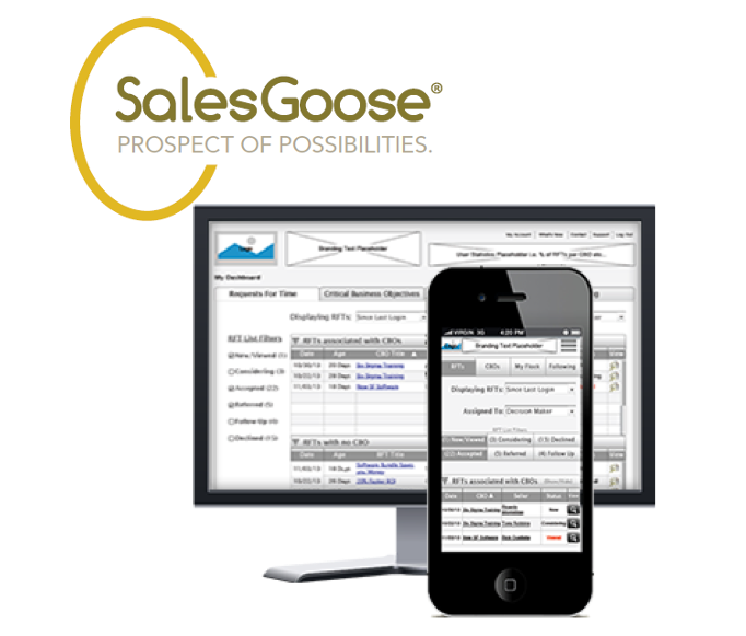 B2B Responsive Web – SalesGoose